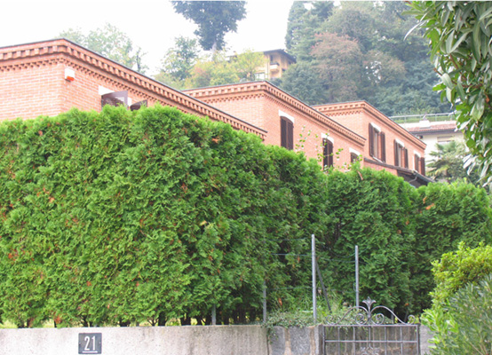 foto del progetto